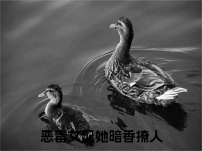 恶毒女配她暗香撩人（孟意如秦隋安）全文免费阅读无弹窗大结局_恶毒女配她暗香撩人（孟意如秦隋安）最新章节列表