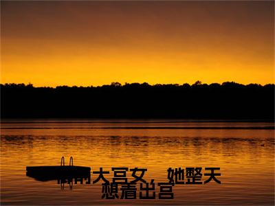白芷（御前大宫女，她整天想着出宫：结局+番外）小说免费在线阅读_白芷全本最新后续阅读（御前大宫女，她整天想着出宫：结局+番外）