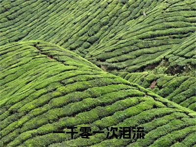 （魏恒林桑榆）全文免费阅读无弹窗大结局_一千零一次泪流完整版最新阅读_笔趣阁（魏恒林桑榆）