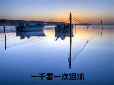 一千零一次泪流：结局+番外（一千零一次泪流：结局+番外）全文免费阅读无弹窗大结局_一千零一次泪流：结局+番外（魏恒林桑榆）最新章节列表_笔趣阁（魏恒林桑榆）