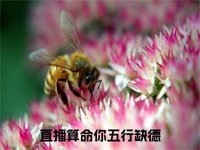 直播算命你五行缺德 小说小说全集+延伸+完本（殷灵）畅享在线阅读