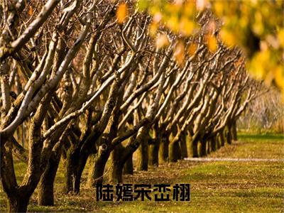 陆嫣宋峦栩全文（陆嫣宋峦栩）全文免费阅读无弹窗大结局_陆嫣宋峦栩全文最新章节列表