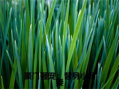 楚明月叶薄渊（豪门强宠：替身小娇妻）全文免费阅读无弹窗_楚明月叶薄渊最新小说_笔趣阁