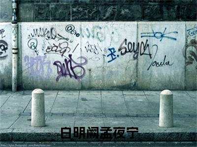 孟夜宁白明阙小说在线阅读（白明阙孟夜宁）全文免费阅读无弹窗大结局