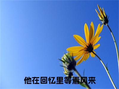 (番外)+(全文)余岁晚顾司怀：结局+番外（他在回忆里等着风来）全文免费阅读无弹窗大结局_(他在回忆里等着风来：结局+番外)最新章节列表_笔趣阁（他在回忆里等着风来）