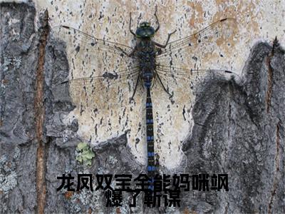 龙凤双宝全能妈咪飒爆了靳谋免费最新章节列表_洛烟商靳谋免费全文免费阅读