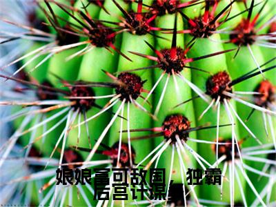 小说《慕景宸许言曦》全文免费阅读无弹窗-娘娘富可敌国，独霸后宫计谋多小说全文在线赏析