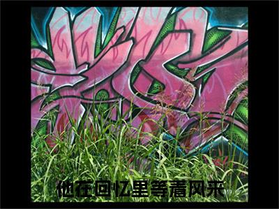 余岁晚顾司怀小说（他在回忆里等着风来）前文+全本完整阅读预售作品抢先看