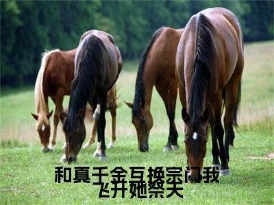 和真千金互换宗门我飞升她祭天小说(叶清宁)（和真千金互换宗门我飞升她祭天）全书+后续+结局在线阅读