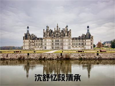 新章速递沈舒忆段清承小说小说结尾阅读无广告（沈舒忆段清承）