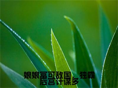 娘娘富可敌国，独霸后宫计谋多小说番外+结局（慕景宸许言曦）小说在线阅读