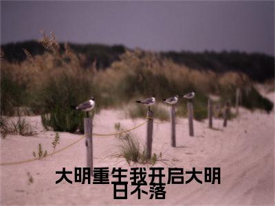 (番外)+(全文)朱雄英：结局+番外（大明重生我开启大明日不落）全文免费阅读无弹窗大结局_大明重生我开启大明日不落：结局+番外最新章节列表_笔趣阁（朱雄英：结局+番外）