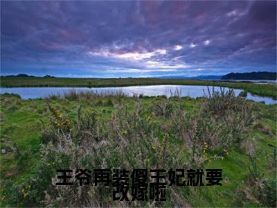 祝卿安萧璟御(王爷再装傻王妃就要改嫁啦祝卿安萧璟御：结局+番外)全文免费阅读无弹窗大结局_(祝卿安萧璟御)最新章节列表_笔趣阁(王爷再装傻王妃就要改嫁啦祝卿安萧璟御：结局+番外)