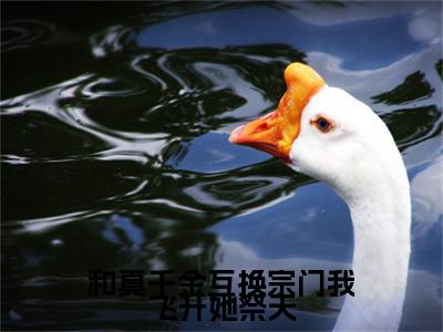 和真千金互换宗门我飞升她祭天（叶清宁小说）全文免费阅读无弹窗大结局_叶清宁小说免费阅读最新章节列表