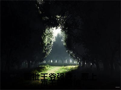 疯批王爷强夺：惹上本王别想逃小说（陆青琅萧凛）全文免费阅读无弹窗大结局_陆青琅萧凛最新章节列表（陆青琅萧凛）