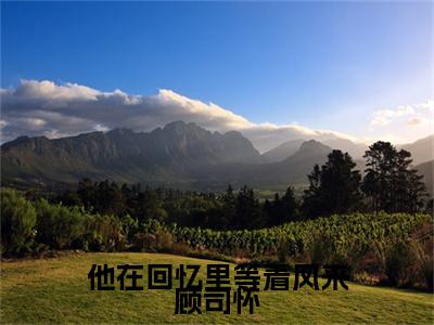 他在回忆里等着风来顾司怀小说（余岁晚顾司怀）全文免费阅读无弹窗大结局_他在回忆里等着风来顾司怀完整版最新阅读_笔趣阁（余岁晚顾司怀）