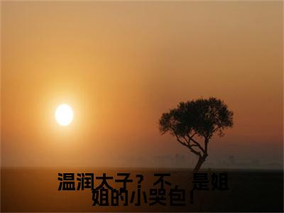 叶舒汐完颜云舒小说(叶舒汐完颜云舒)（温润太子？不，是姐姐的小哭包！）前传+阅读全新作品预订