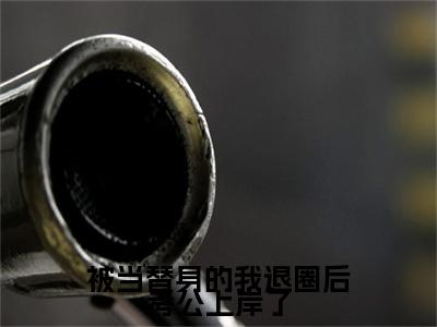 热文推荐被当替身的我退圈后考公上岸了陆修瑾江婉渔小说大结局（陆修瑾江婉渔）书荒必看列表