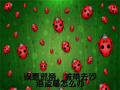 小说大结局小说珍珠小说已更新+特别篇（误惹邪帝，被带去沙海盗墓怎么办）纯净版