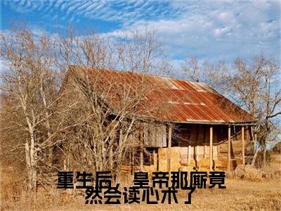 姒璟劳丽小说重生后，皇帝那厮竟然会读心术了全文免费阅读无弹窗-正版小说（重生后，皇帝那厮竟然会读心术了）姒璟劳丽全文阅读