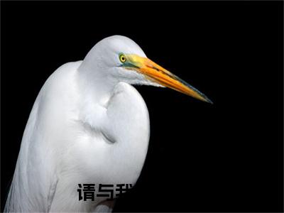 冷云珠宴时年：结局+番外全文免费阅读无弹窗大结局_（冷云珠宴时年）冷云珠宴时年：结局+番外最新章节列表_笔趣阁（冷云珠宴时年）
