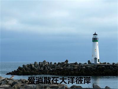 付文馨靳景硕 爱消散在大洋彼岸：+后续热血十足+延伸+完本（付文馨靳景硕）畅享在线阅读