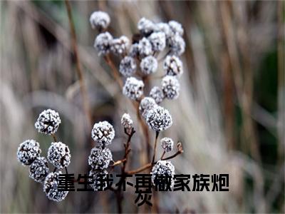 (番外)+(全文)重生我不再做家族炮灰林沁月晏凛渊：全文+后续+结局（林沁月晏凛渊）全文免费阅读无弹窗大结局_重生我不再做家族炮灰：全文+后续+结局最新章节列表_笔趣阁（重生我不再做家族炮灰林沁月晏凛渊：全文+后续+结局）