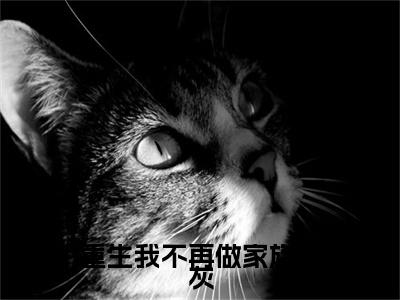 重生我不再做家族炮灰：+后续热血十足 林沁月晏凛渊：结局+番外评价五颗星