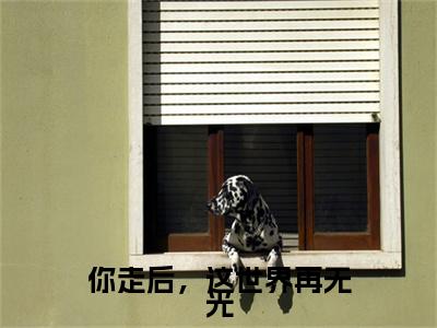 季秋禾沈钧安完结篇(你走后，这世界再无光)章节：结局+番外评价五颗星