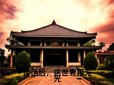 你走后，这世界再无光章节目录+序章（季秋禾沈钧安）全书畅享在线