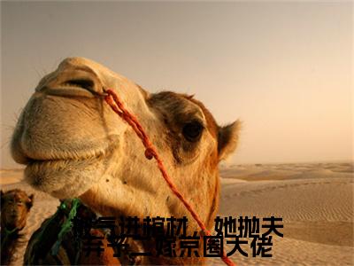 被气进棺材，她抛夫弃子二嫁京圈大佬（沈暧）小说在线阅读_被气进棺材，她抛夫弃子二嫁京圈大佬免费阅读笔趣阁（沈暧）