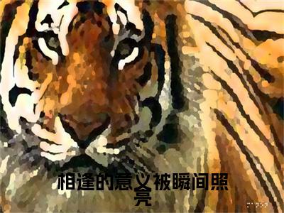独家陆宴舟顾清浅：结局+番外评价五颗星 （陆宴舟顾清浅）TXT免费版阅读