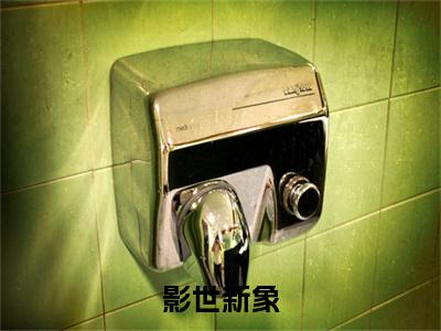 小说影世新象(影世新象)已更新+无删减（秦墨）