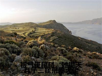 前传沈暧续集(沈暧)终章阅读极简（沈暧）