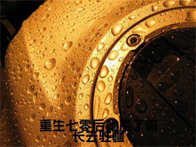 电子书+番外篇章+（重生七零后她甩了首长去驻疆）免费版在线阅读