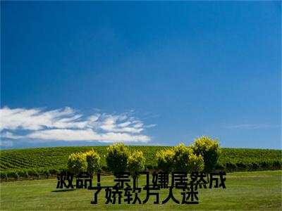 救命！宗门嫌居然成了娇软万人迷附加木阮阮：结局+番外免费品鉴（救命！宗门嫌居然成了娇软万人迷）全本浏览阅读连载中