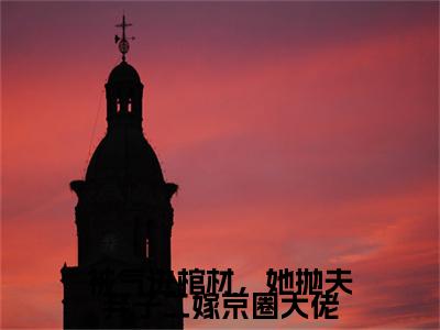 （头条）被气进棺材，她抛夫弃子二嫁京圈大佬(沈暧)整本免费版阅读无广告（被气进棺材，她抛夫弃子二嫁京圈大佬）
