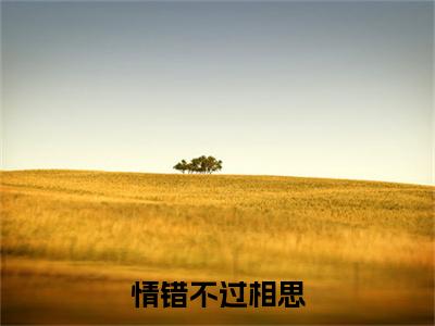 情错不过相思小说（孟熙雯上官白）起点章节+全篇阅读热门作品预订