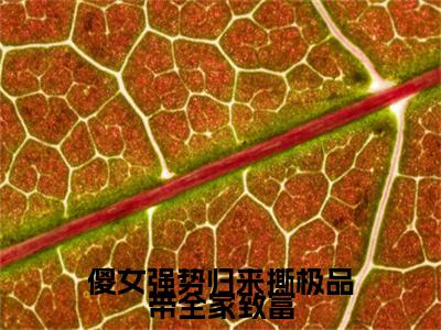 傻女强势归来撕极品带全家致富小说（洛汐洛丹）结局+番外免费品鉴_傻女强势归来撕极品带全家致富小说免费阅读+后续评价五颗星（洛汐洛丹）