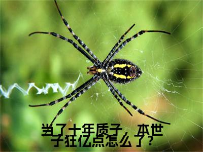 小说当了十年质子，本世子狂亿点怎么了？小说已更新+番外篇章（燕回）纯净阅读