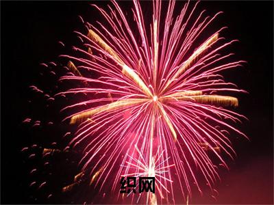 织网（沈念念大结局小说全集完整版）_（沈念念小说）织网全文阅读笔趣阁