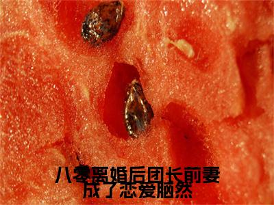 八零离婚后团长前妻成了恋爱脑然：+后续人物讨喜无套路全集林超煜陆安