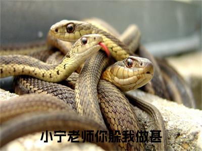 热文推荐许之宁付时青附加(小宁老师你躲我做甚)（许之宁付时青）最新章节列表