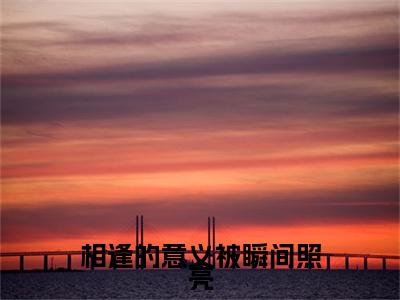 相逢的意义被瞬间照亮（陆宴舟顾清浅）结局+番外新上热文_（陆宴舟顾清浅）相逢的意义被瞬间照亮小说全文免费阅读最新章节列表笔趣阁