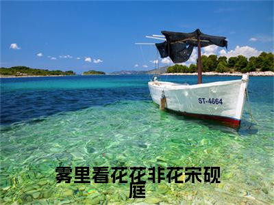 热门章节_笔趣阁（阮南笙宋砚庭）阮南笙宋砚庭小说(雾里看花花非花宋砚庭)章节在线阅读