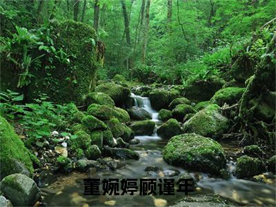 董婉婷顾谨年：结局+番外顾谨年董婉婷小说全文无删减版在线阅读-最新小说董婉婷顾谨年：结局+番外小说全文阅读
