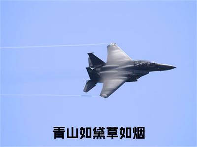 青山如黛草如烟结局+番外（江司瑶慕子衿）全文免费阅读全集完整版_青山如黛草如烟结局+番外最新章节无弹窗（江司瑶慕子衿）