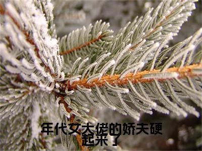 沈寄舟傅思涵番外+结局（年代女大佬的娇夫硬起来了）小说在线阅读