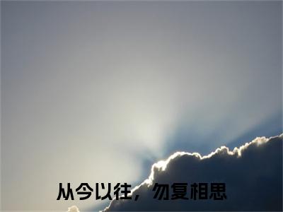 从今以往，勿复相思（盛云漫顾时宴）小说全文免费阅读无弹窗_（盛云漫顾时宴全文阅读）从今以往，勿复相思免费阅读大结局