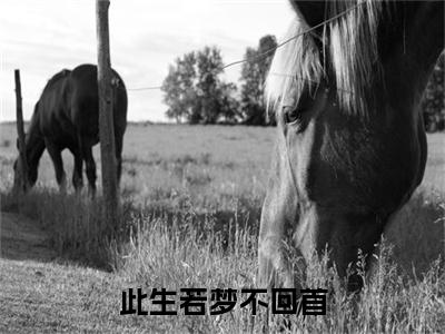 沈向真付景年免费最新章节列表_沈向真付景年免费全文免费阅读(此生若梦不回首)